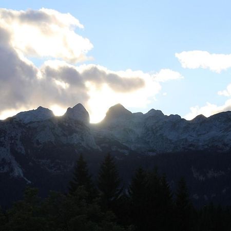 Willa Planinska Hisica Pod Macesni - Bohinj Srednja Vas v Bohinju Zewnętrze zdjęcie