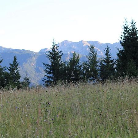 Willa Planinska Hisica Pod Macesni - Bohinj Srednja Vas v Bohinju Zewnętrze zdjęcie