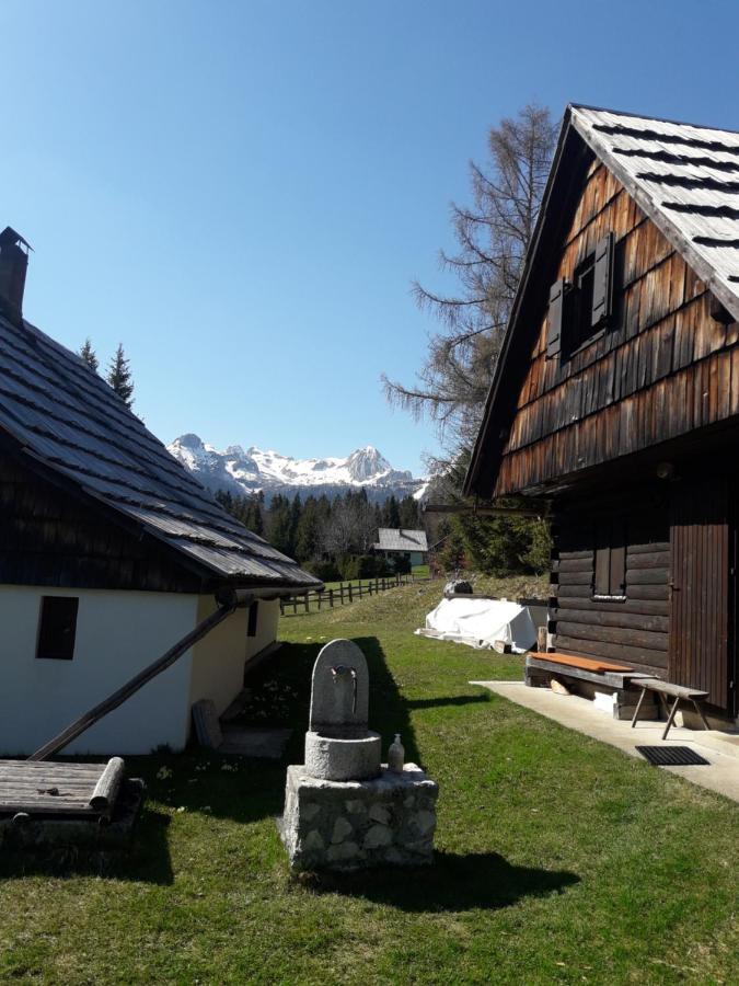 Willa Planinska Hisica Pod Macesni - Bohinj Srednja Vas v Bohinju Zewnętrze zdjęcie