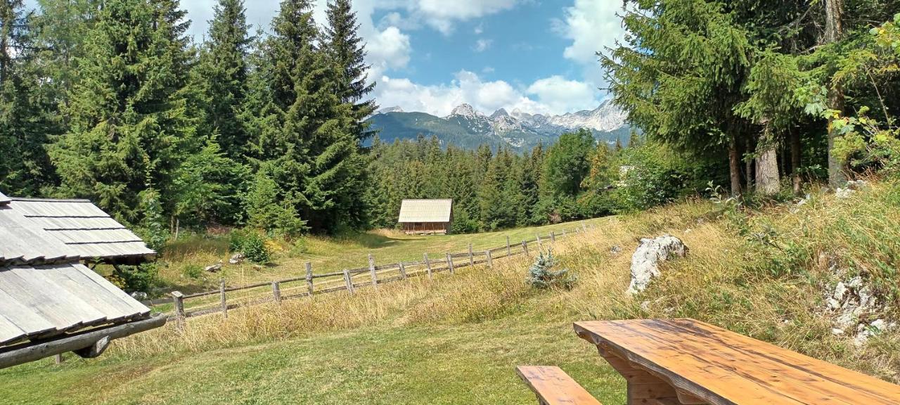 Willa Planinska Hisica Pod Macesni - Bohinj Srednja Vas v Bohinju Zewnętrze zdjęcie