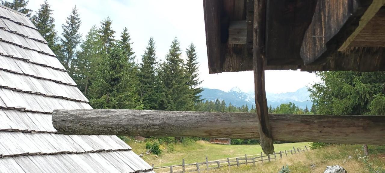 Willa Planinska Hisica Pod Macesni - Bohinj Srednja Vas v Bohinju Zewnętrze zdjęcie
