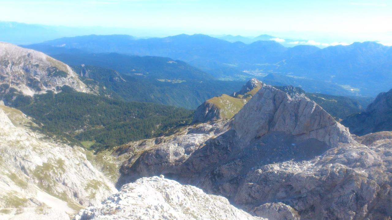 Willa Planinska Hisica Pod Macesni - Bohinj Srednja Vas v Bohinju Zewnętrze zdjęcie