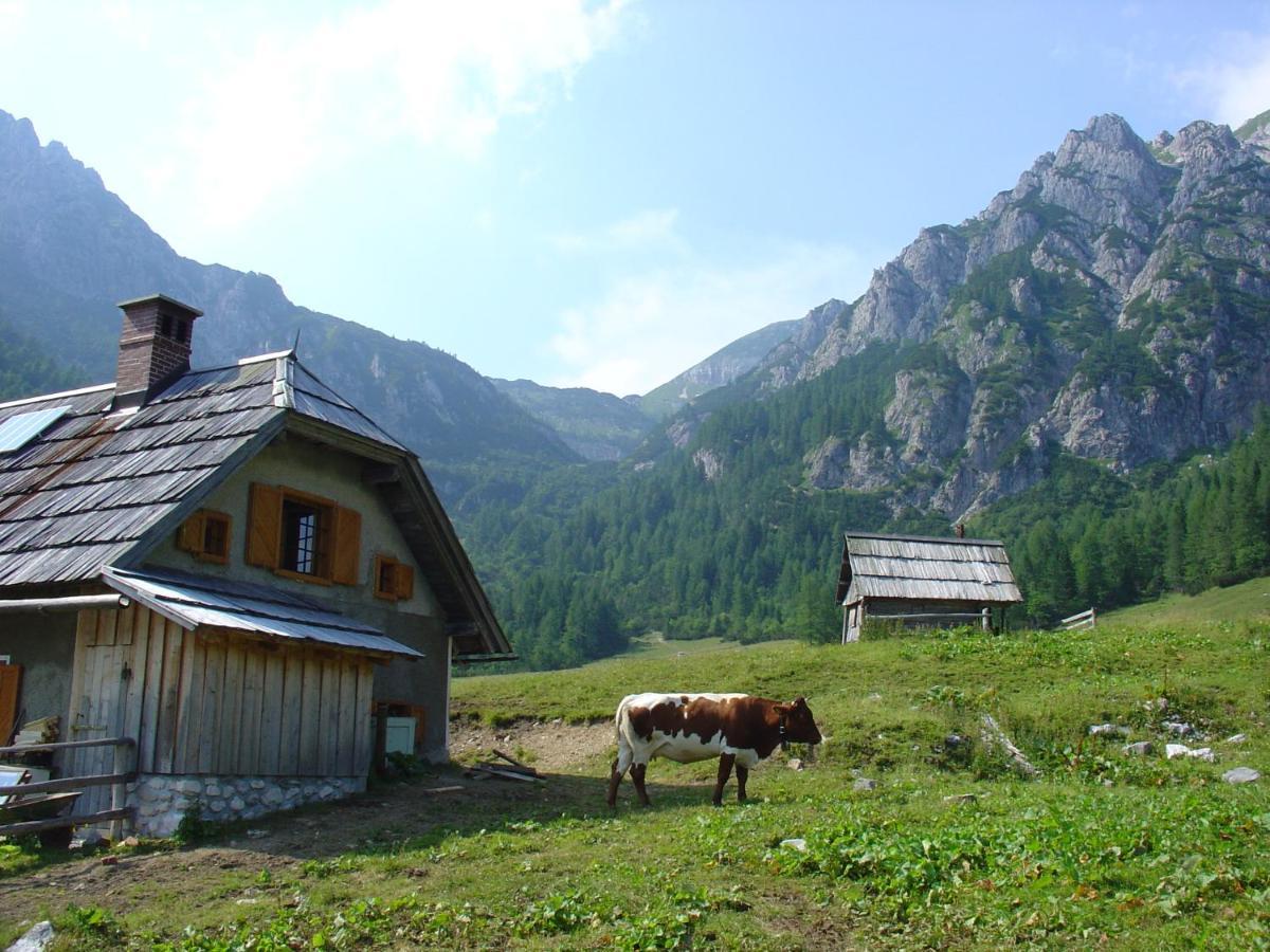 Willa Planinska Hisica Pod Macesni - Bohinj Srednja Vas v Bohinju Zewnętrze zdjęcie