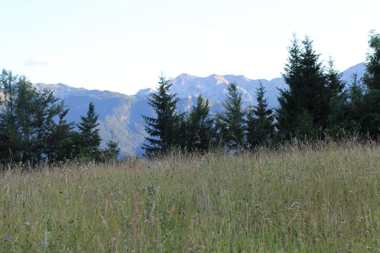 Willa Planinska Hisica Pod Macesni - Bohinj Srednja Vas v Bohinju Zewnętrze zdjęcie